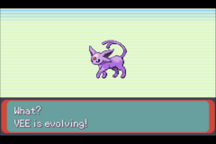 Pokemon Emerald: Level 100 Silliness GBA ROM Hacks 