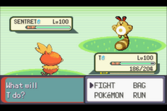 Pokemon Emerald: Level 100 Silliness GBA ROM Hacks 