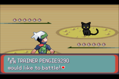 Pokemon Emerald: Level 100 Silliness GBA ROM Hacks 