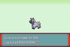 pokemon emerald randomizer nuzlocke gba