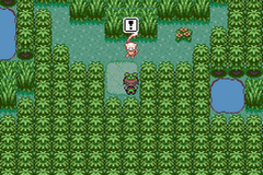 Pokemon Emerald Squared GBA ROM Hacks 