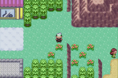 Pokemon Energized Emerald GBA ROM Hacks 