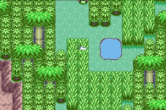 Pokemon Energized Emerald GBA ROM Hacks 