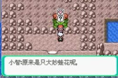 Pokemon Evil World GBA ROM Hacks 