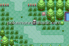 Pokemon Evo GBA ROM Hacks 