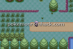 Pokemon Evo GBA ROM Hacks 