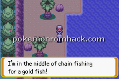 Pokemon Evo GBA ROM Hacks 