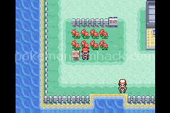 Pokemon Experimental Red GBA ROM Hacks 