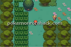 Pokemon Extreme Red GBA ROM Hacks 