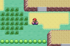 Pokemon Faria GBA ROM Hacks 