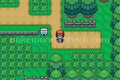 Pokemon Fiona GBA ROM Hacks 