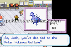 Pokemon FireRed: Total Recall GBA ROM Hacks 