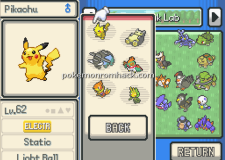 pokemon advanced adventure gba cheats