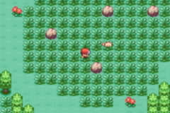 Pokemon Fire Red Extended GBA ROM Hacks 