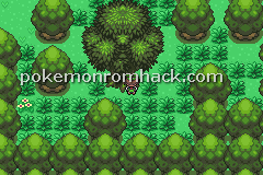 Pokemon Flora Sky Rebirth GBA ROM Hacks 