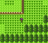 Pokemon Gold Female Trainer Hack GBC ROM Hacks 