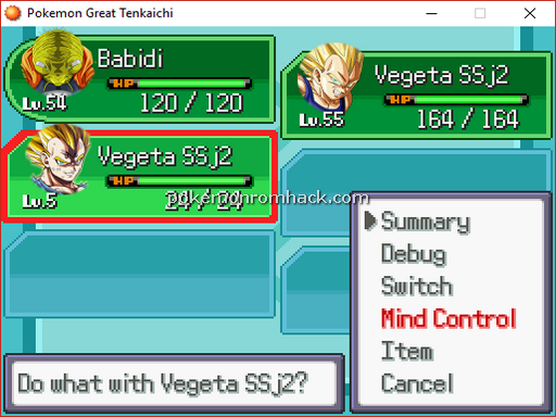 Pokemon Great Tenkaichi RMXP Hacks 