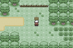 Pokemon Green Forest GBA ROM Hacks 