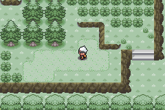 Pokemon Green Forest GBA ROM Hacks 