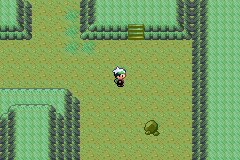 Pokemon Green Nebula GBA ROM Hacks 