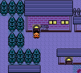 Pokemon Hokum Trilogy: Part One GBC ROM Hacks 