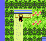 Pokemon Hokum Trilogy: Part One GBC ROM Hacks 