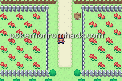 Pokemon Hourglass Version GBA ROM Hacks 