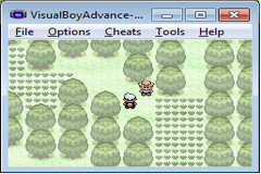 Pokemon: Hyacinth Version GBA ROM Hacks 