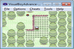 Pokemon: Hyacinth Version GBA ROM Hacks 