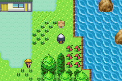 Pokemon Johto Histories GBA ROM Hacks 