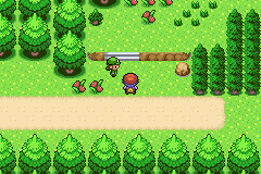 Pokemon Johto Histories GBA ROM Hacks 