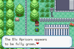 Pokemon Kairos GBA ROM Hacks 