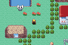 Pokemon Kohaku Adventures GBA ROM Hacks 