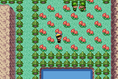 Pokemon Kohaku Adventures GBA ROM Hacks 