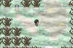 Pokemon Lionheart Gba Rom Download - Colaboratory