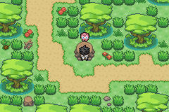 Pokemon Lionheart GBA ROM Hacks 