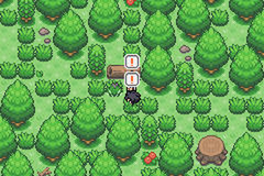 Pokemon Lionheart GBA ROM Hacks 