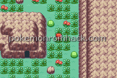 Pokemon Luola GBA ROM Hacks 