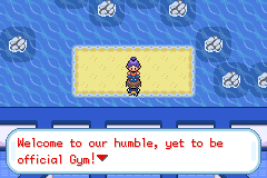 Pokemon Magical Altering Gym Menagerie GBA ROM Hacks 