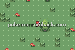 Pokemon Maia GBA ROM Hacks 