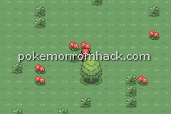 Pokemon Maia GBA ROM Hacks 