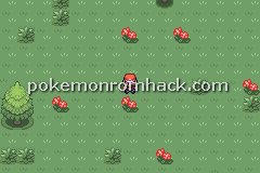 Pokemon Maia GBA ROM Hacks 