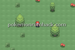Pokemon Maia GBA ROM Hacks 