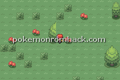 Pokemon Maia GBA ROM Hacks 