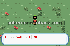 Pokemon Maia GBA ROM Hacks 