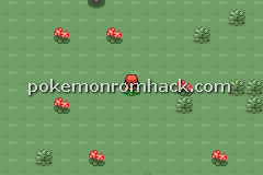 Pokemon Maia GBA ROM Hacks 