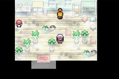 Pokemon Meta Fire Red X and Y GBA ROM Hacks 