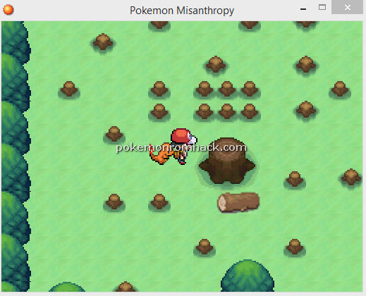 Pokemon Misanthropy RMXP Hacks 