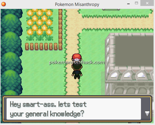 Pokemon Misanthropy RMXP Hacks 