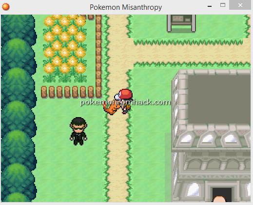 Pokemon Misanthropy RMXP Hacks 